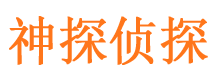 龙文捉小三公司